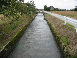 kunugiyamakaryu