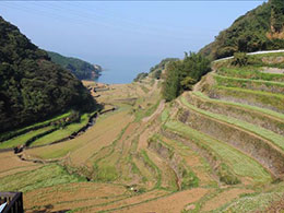 全国棚田（千枚田）サミット