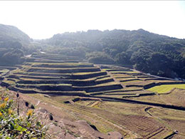 全国棚田（千枚田）サミット