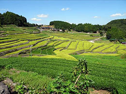 全国棚田（千枚田）総会