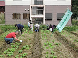 間引き・草取り