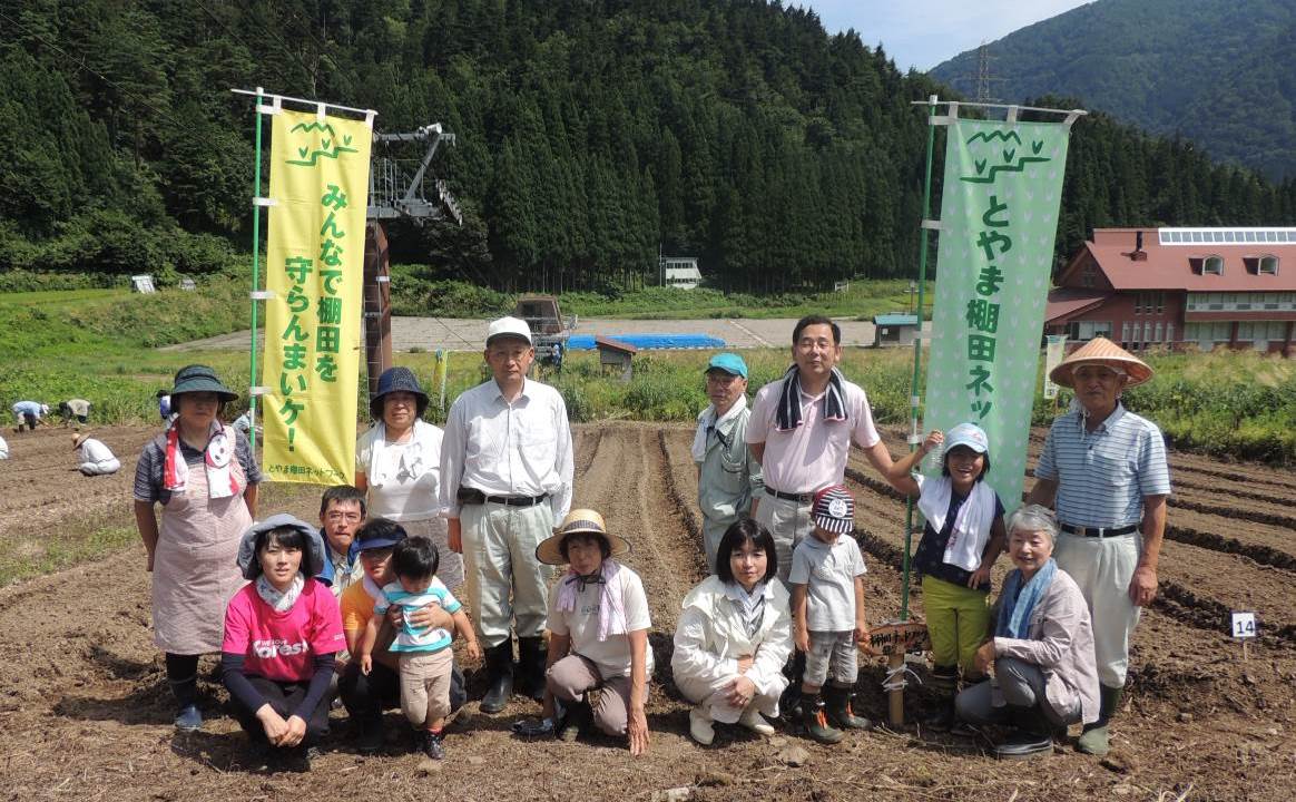 赤カブ種まき