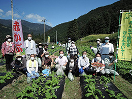 間引き・草取り作業