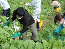 間引き・草取り