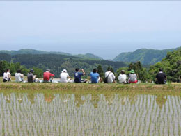 田植え