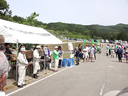 田植え