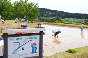 田植え