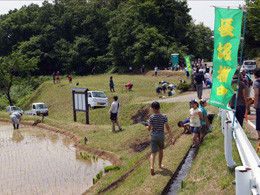 田植え