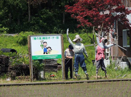 田植え