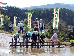 田植え