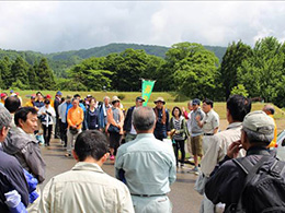 田植え