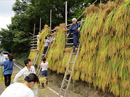 田植え