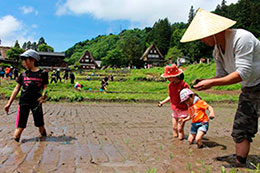 田植えけ