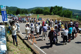 田植え