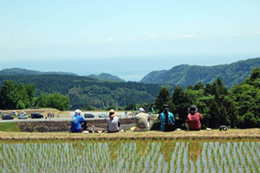 田植えけ